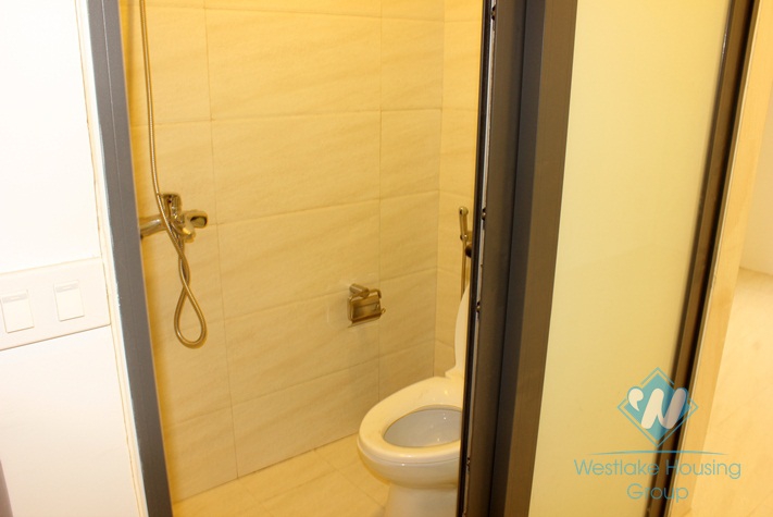 Nice house with nice garden for rent in Ciputra, Tay Ho, Ha Noi